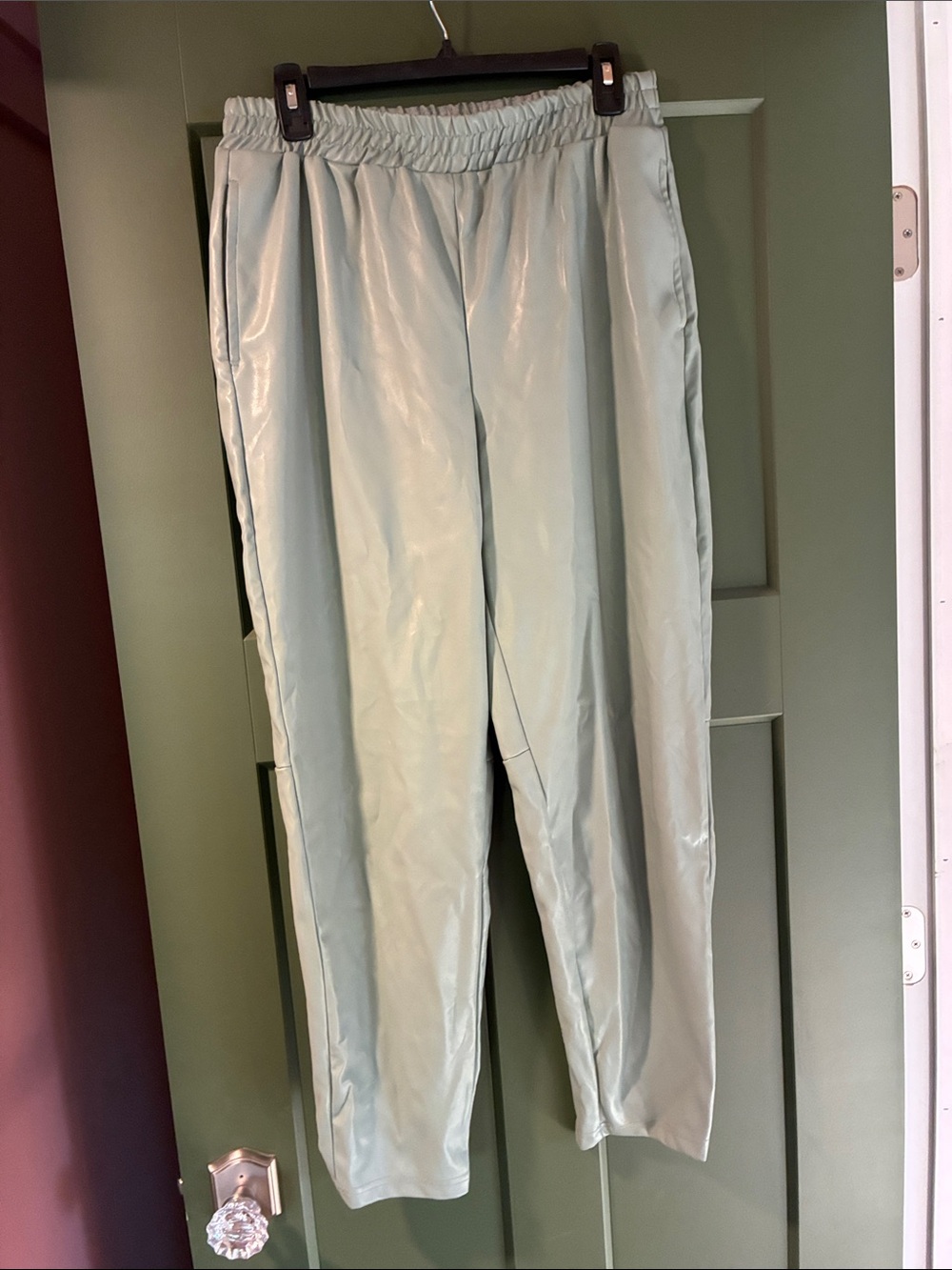 Fabletics faux leather teal joggers